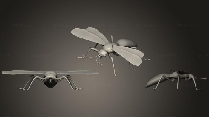 Insects (Tarantula Hawk, INSCT_0030) 3D models for cnc